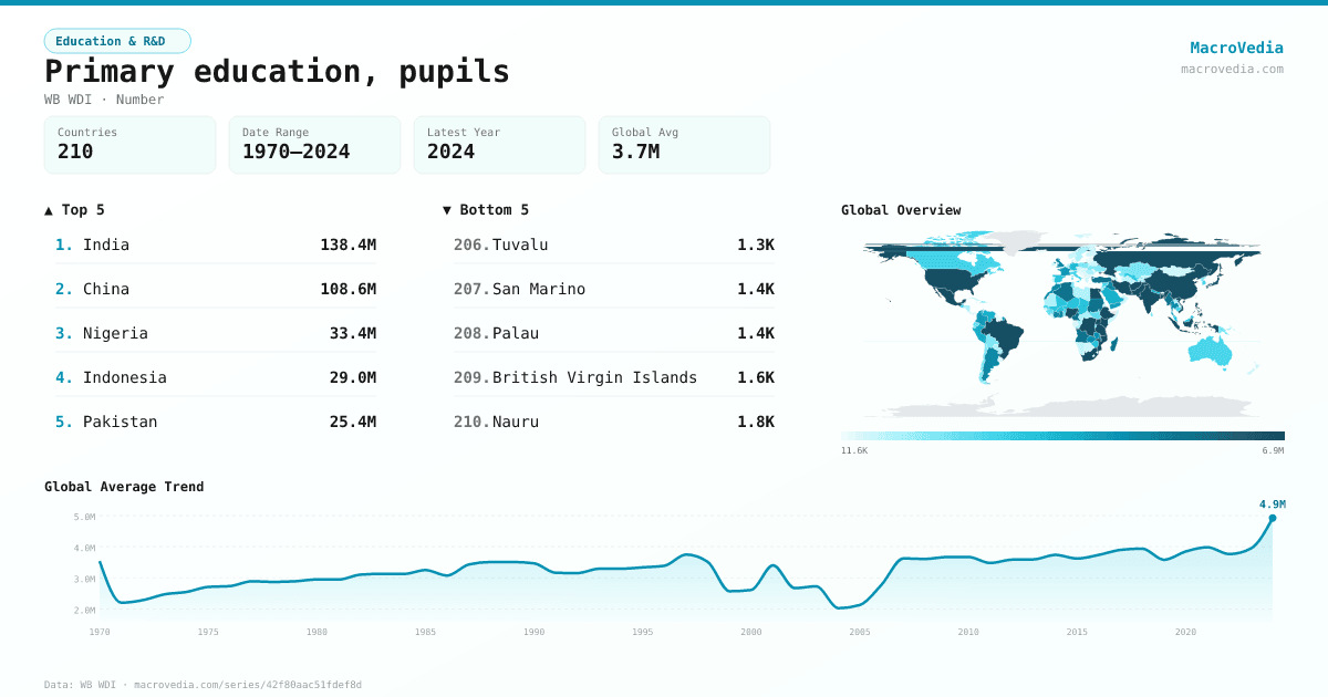 Primary education, pupils infographic